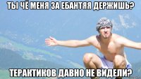 ты чё меня за ебантяя держишь? терактиков давно не видели?