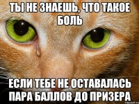 ты не знаешь, что такое боль если тебе не оставалась пара баллов до призера