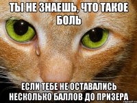 ты не знаешь, что такое боль если тебе не оставались несколько баллов до призера