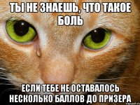 ты не знаешь, что такое боль если тебе не оставалось несколько баллов до призера