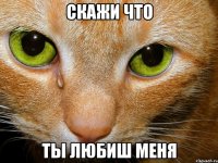 скажи что ты любиш меня