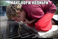 макс корж колибри 