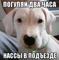 погуляй два часа нассы в подъезде