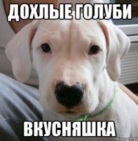 дохлые голуби вкусняшка