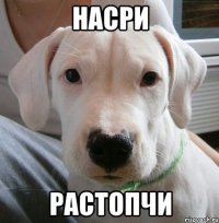 насри растопчи