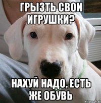 грызть свои игрушки? нахуй надо, есть же обувь