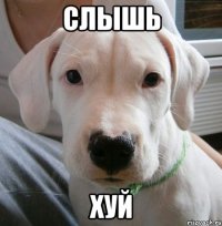 слышь хуй