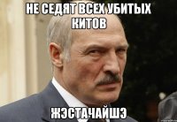 не седят всех убитых китов жэстачайшэ