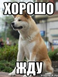 хорошо жду