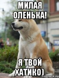 милая оленька! я твой хатико)