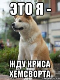 это я - жду криса хемсворта