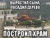 вырастил сына, посадил дерево построил храм
