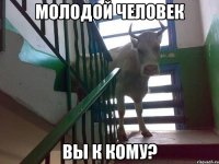 молодой человек вы к кому?