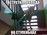 встретил препода на ступеньках