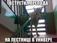 встретил препода на лестнице в универе