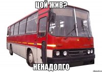 цой жив? ненадолго