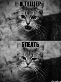 Я тещер блеать