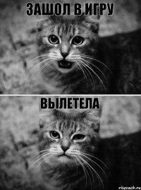 зашол в игру вылетела