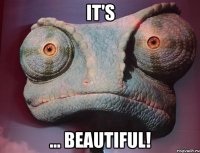 it's ... beautiful!