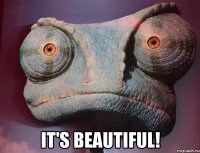  it's beautiful!