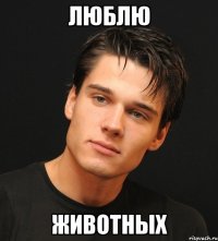 люблю животных