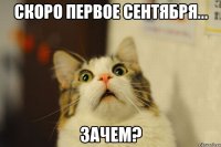 скоро первое сентября... зачем?