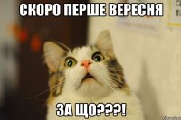 скоро перше вересня за що???!