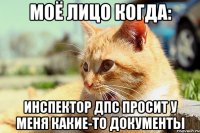 моё лицо когда: инспектор дпс просит у меня какие-то документы