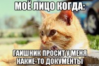 моё лицо когда: гаишник просит у меня какие-то документы