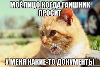 моё лицо когда гаишник просит у меня какие-то документы