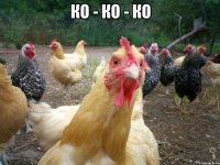 ко - ко - ко 