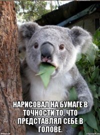  нарисовал на бумаге в точности то, что представлял себе в голове.