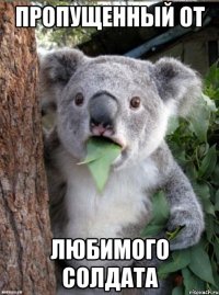 пропущенный от любимого солдата