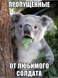 пропущенные от любимого солдата