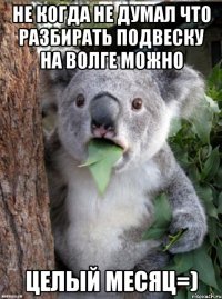 не когда не думал что разбирать подвеску на волге можно целый месяц=)