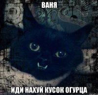ваня иди нахуй кусок огурца
