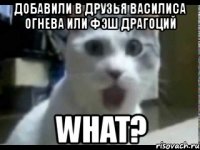 добавили в друзья василиса огнева или фэш драгоций what?