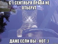 с 1 сентября права не отберут даже если вы - кот :)