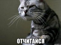  отчитайся