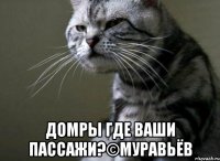  домры где ваши пассажи?©муравьёв