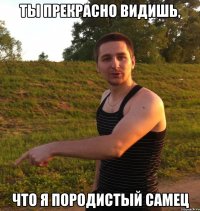 ты прекрасно видишь, что я породистый самец