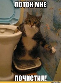 лоток мне почистил!