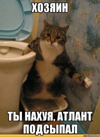 хозяин ты нахуя, атлант подсыпал