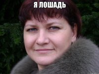 я лошадь 