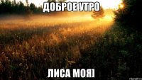 доброе утро лиса моя]