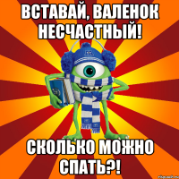 вставай, валенок несчастный! сколько можно спать?!