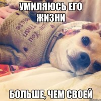 умиляюсь его жизни больше, чем своей