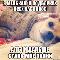 я мелькаю в подборках всех пабликов а ты и дальше ставь мне лайки
