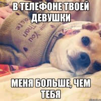 в телефоне твоей девушки меня больше, чем тебя