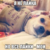 я не лайка но все лайки - мои